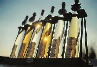 Sonnengut Wellness - Therme - 4* Бад-Бирнбах